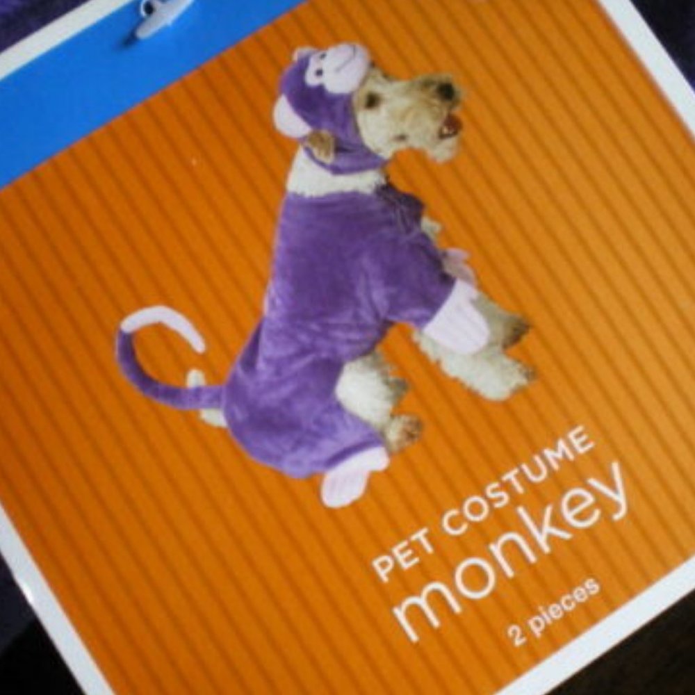 Purple Monkey Costume
